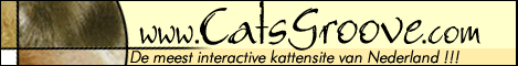 catsgroove