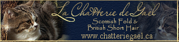 dkdegaelbanner