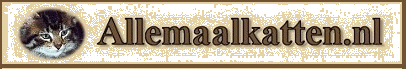 katbanner2