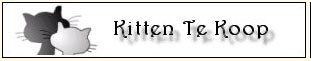 kittentekoop